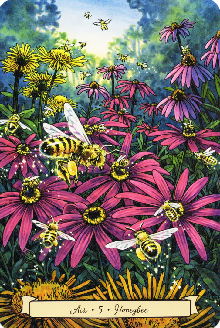 5 Honeybee (Air) — Everyday Witch's Familiars Oracle