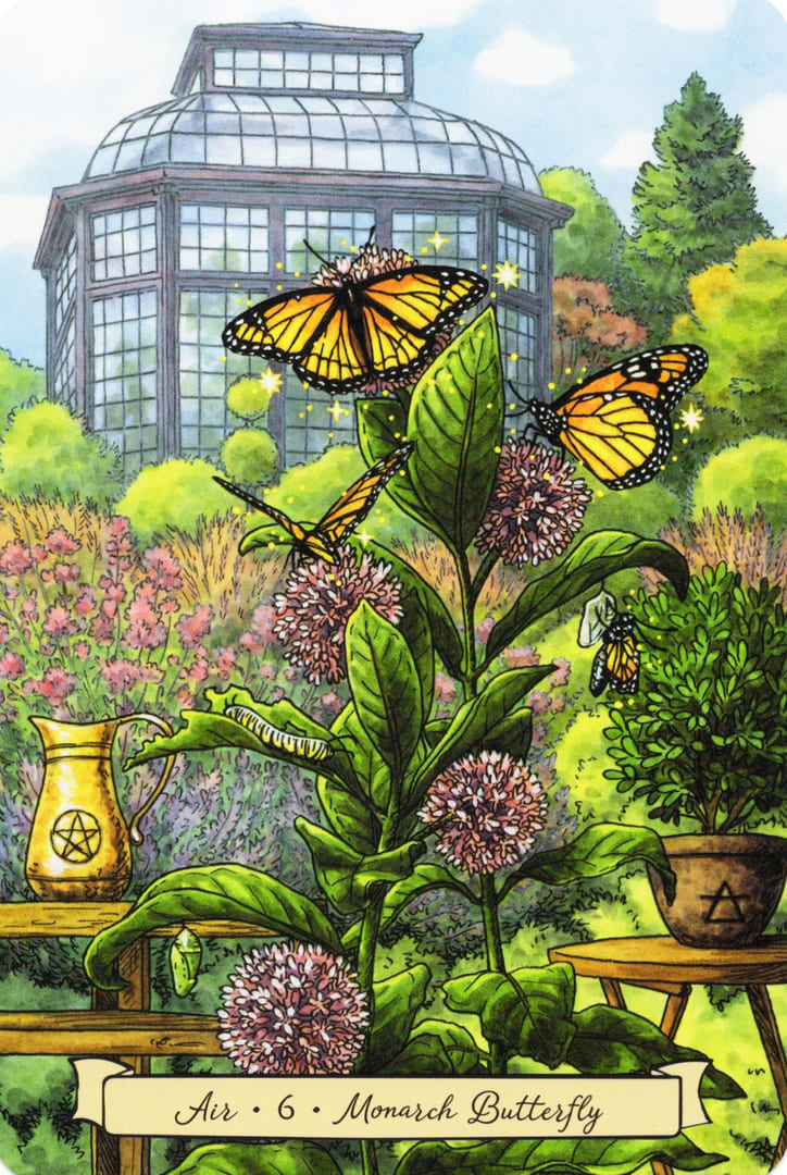 6 Mariposa Monarca (Aire) — Everyday Witch's Familiars Oracle