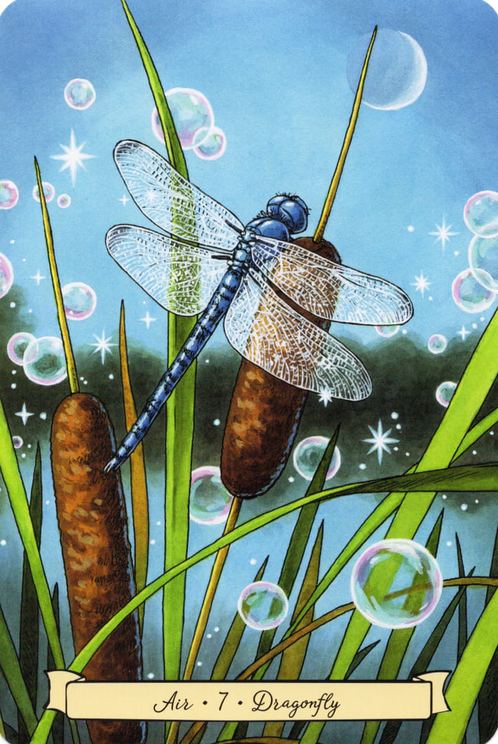 7 Dragonfly (Air) — Everyday Witch's Familiars Oracle