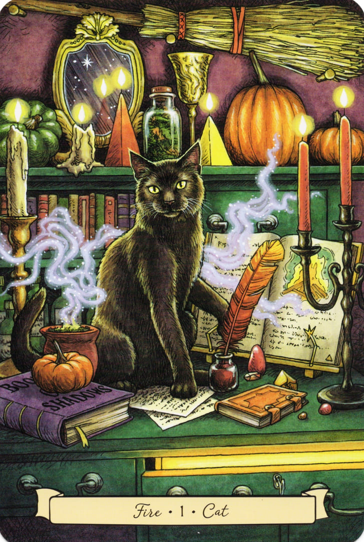 1 Cat (Fire) — Everyday Witch's Familiars Oracle