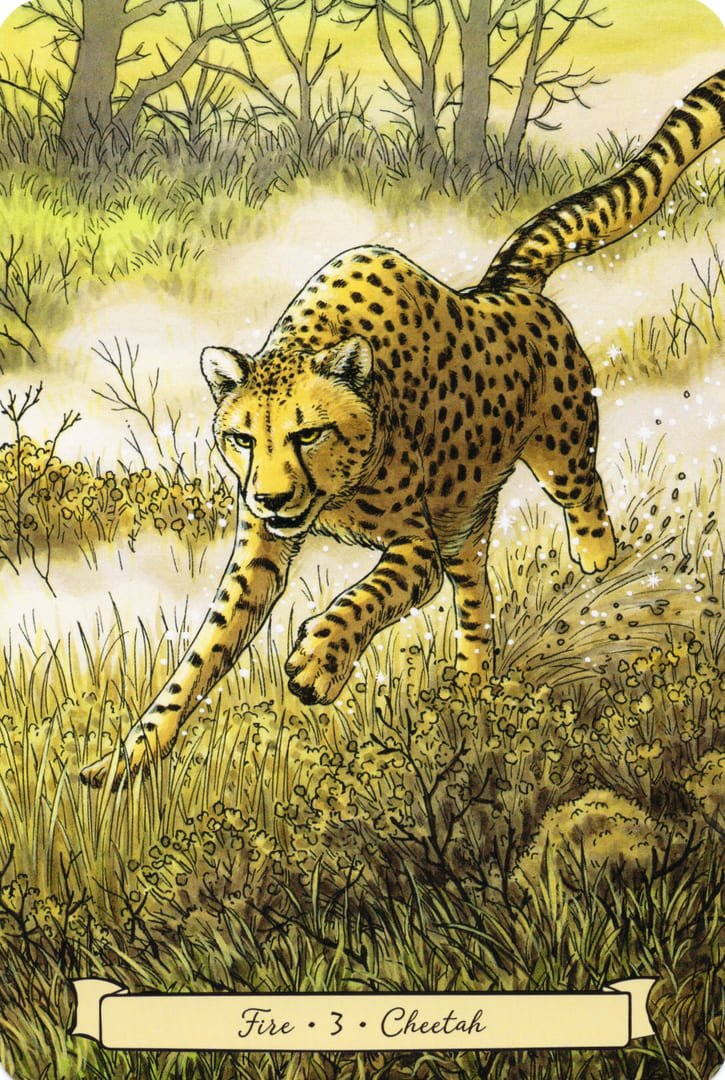 3 Cheetah (Fire) — Everyday Witch's Familiars Oracle