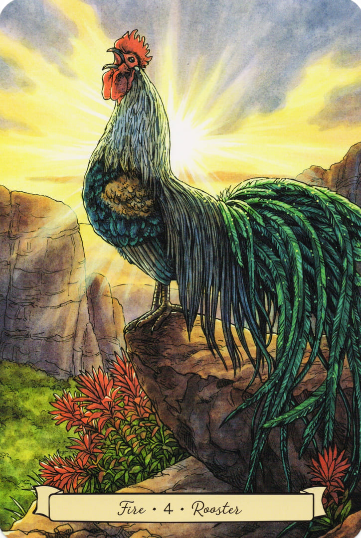 4 Rooster (Fire) — Everyday Witch's Familiars Oracle