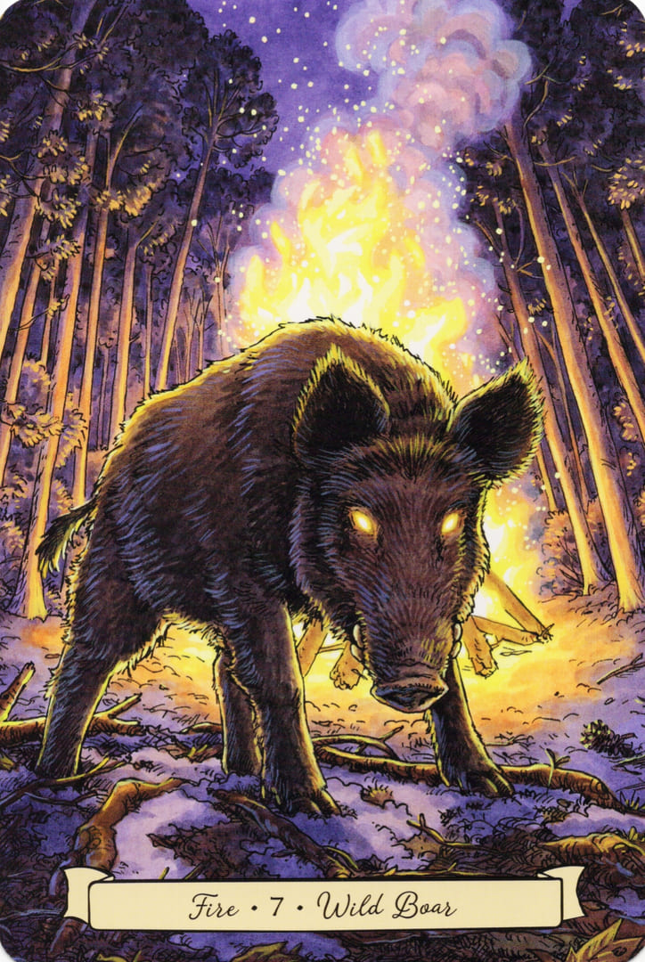 7 Wild Boar (Fire) — Everyday Witch's Familiars Oracle