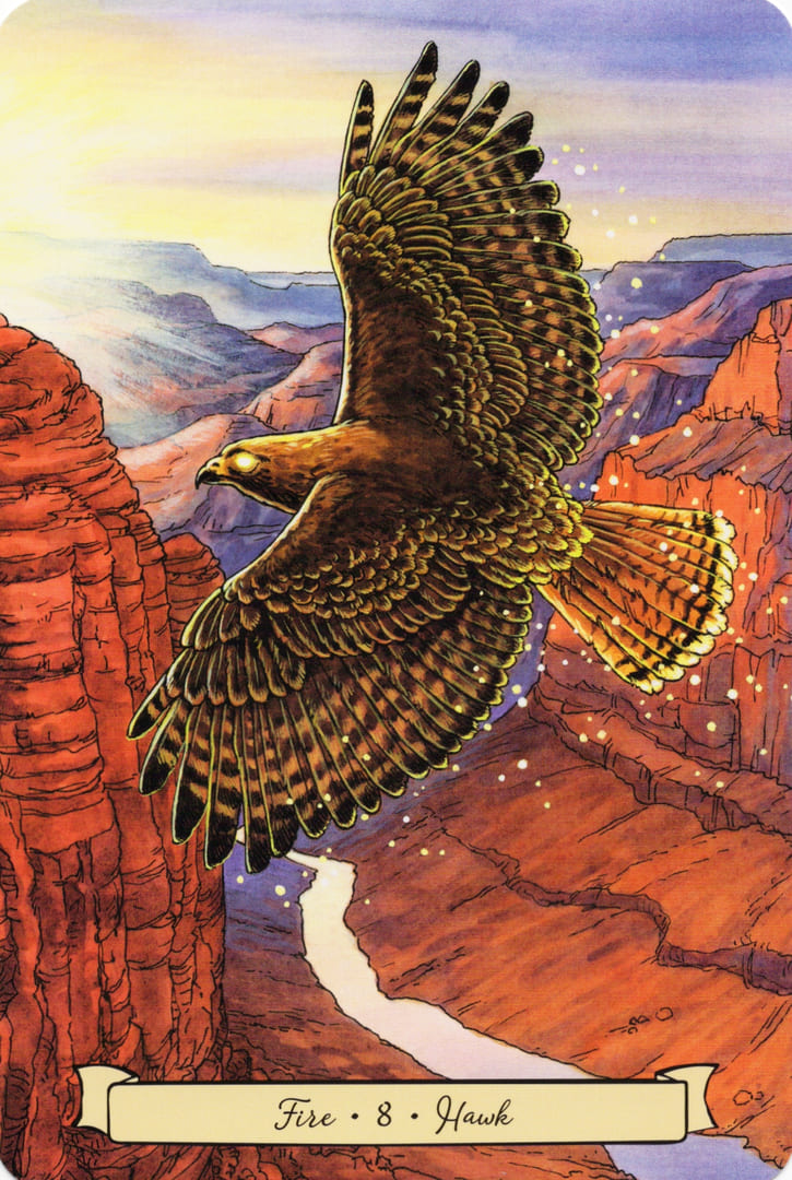 8 Hawk (Fire) — Everyday Witch's Familiars Oracle
