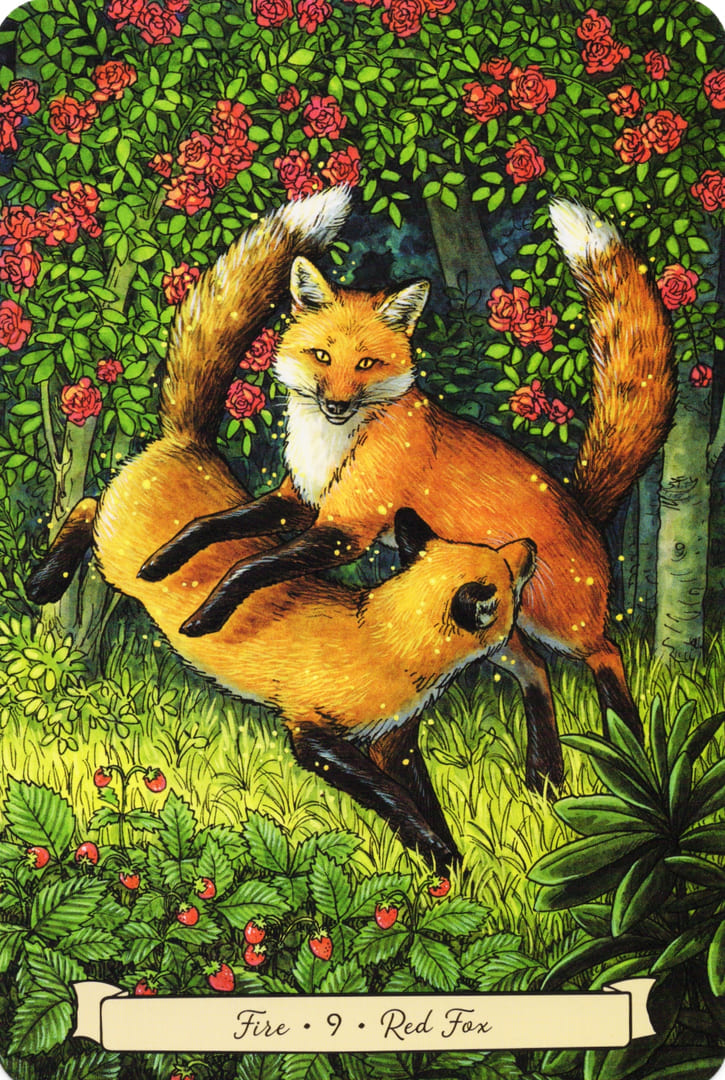 9 Red Fox (Fire) — Everyday Witch's Familiars Oracle