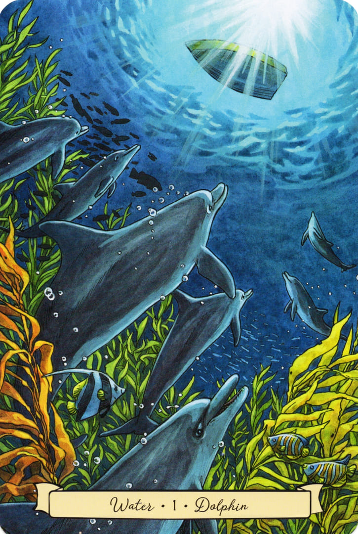1 Dolphin (Water) — Everyday Witch's Familiars Oracle