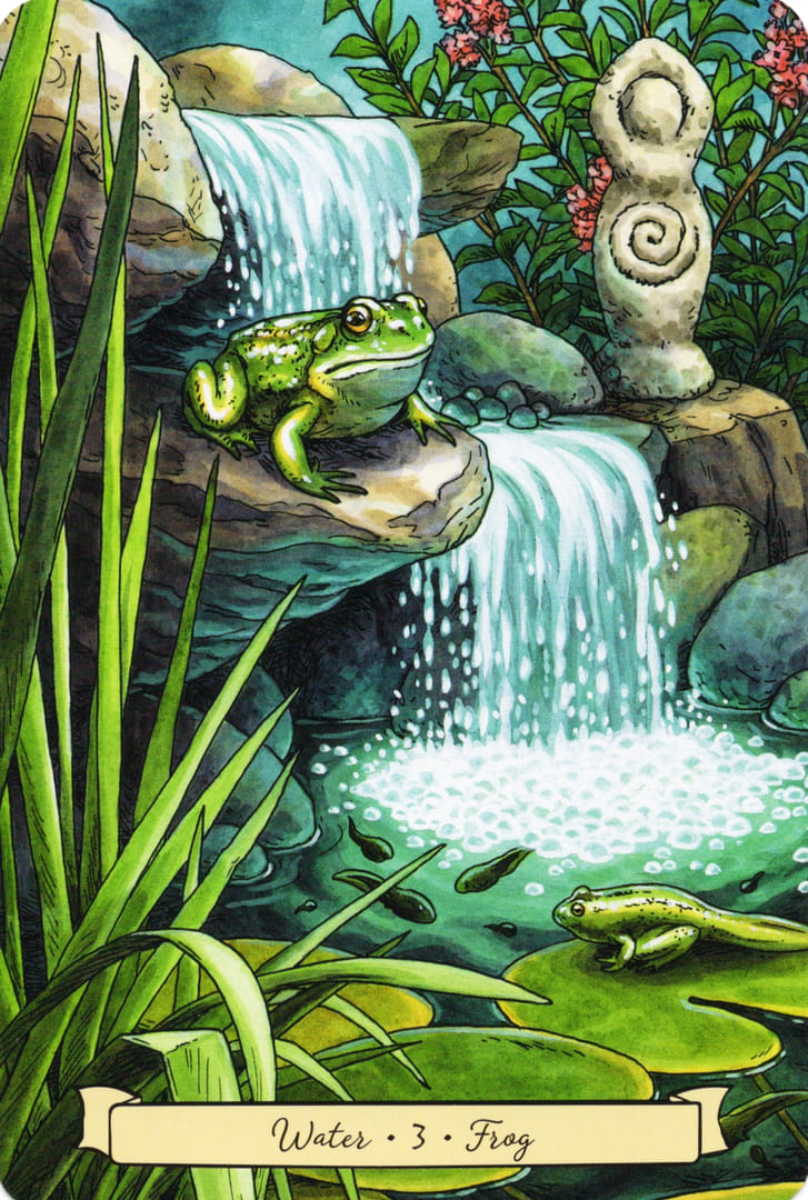3 Frog (Water) — Everyday Witch's Familiars Oracle