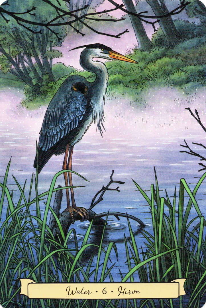 6 Heron (Water) — Everyday Witch's Familiars Oracle