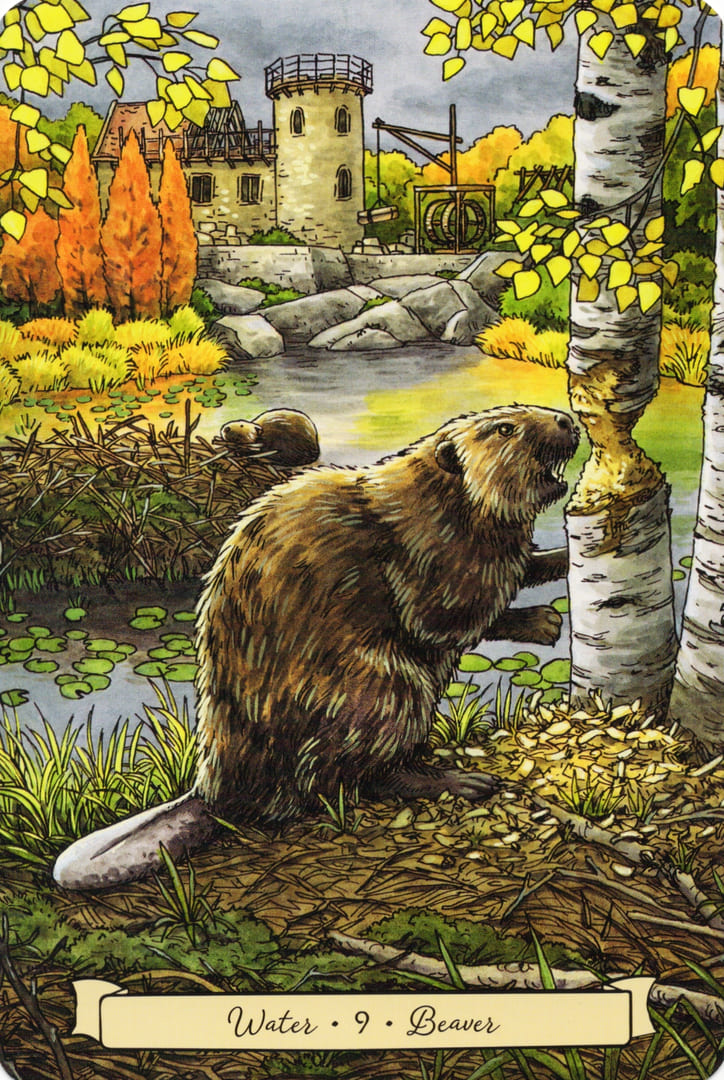 9 Beaver (Water) — Everyday Witch's Familiars Oracle