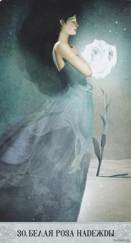 30. White Rose of Hope — Oracle of Mystical Moments