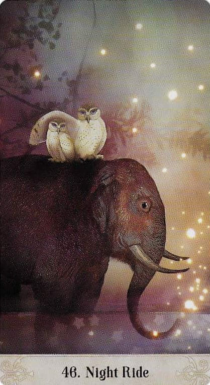 46. Night Ride