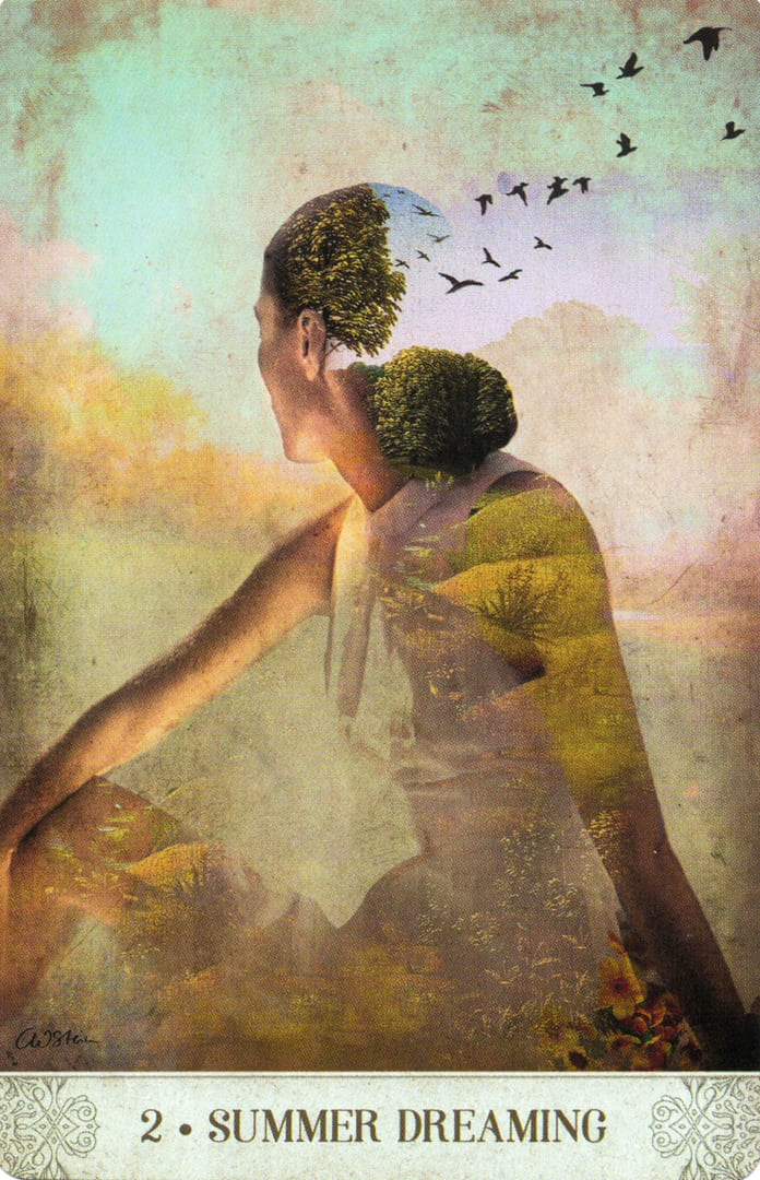 2. SUMMER DREAMING — Botanical Dreams Oracle