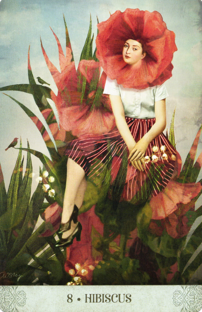 8. HIBISCO — Botanical Dreams Oracle