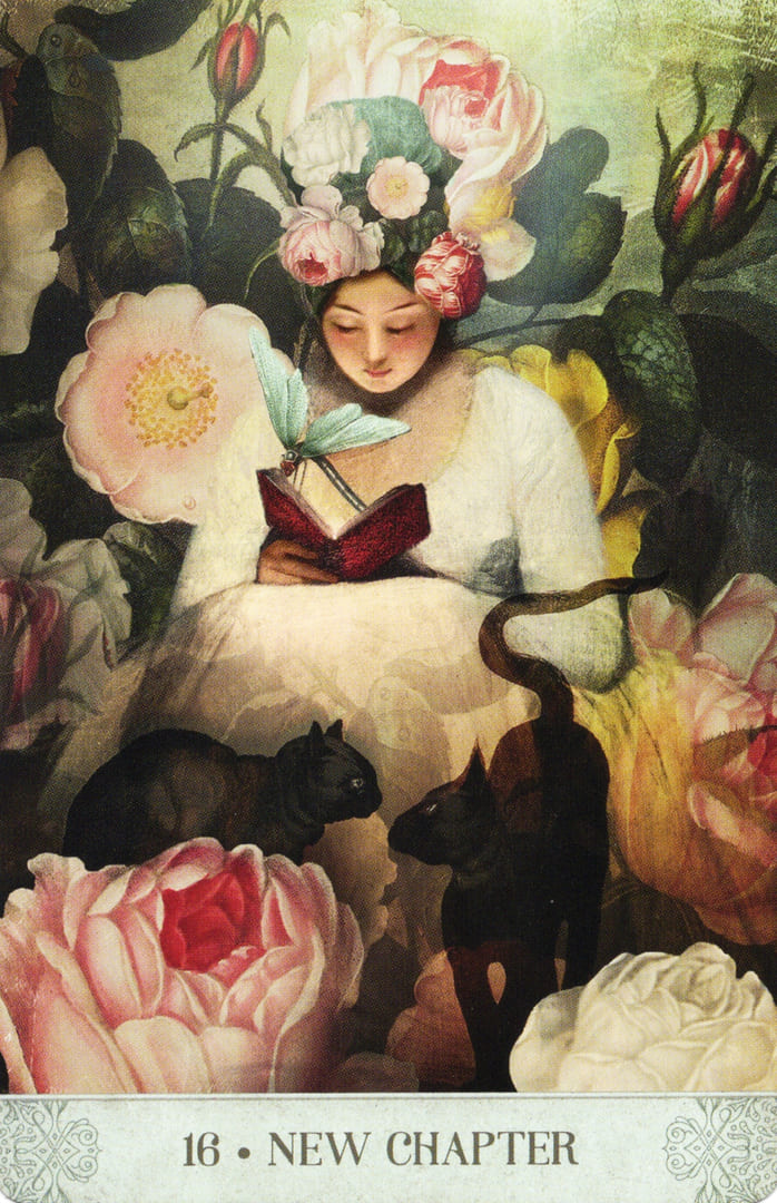 16. NUEVO CAPÍTULO — Botanical Dreams Oracle