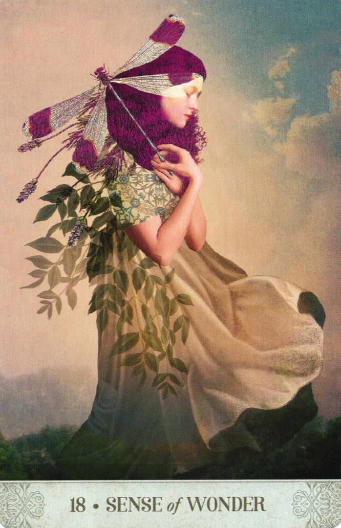 18. SENTIDO DE ASOMBRO — Botanical Dreams Oracle