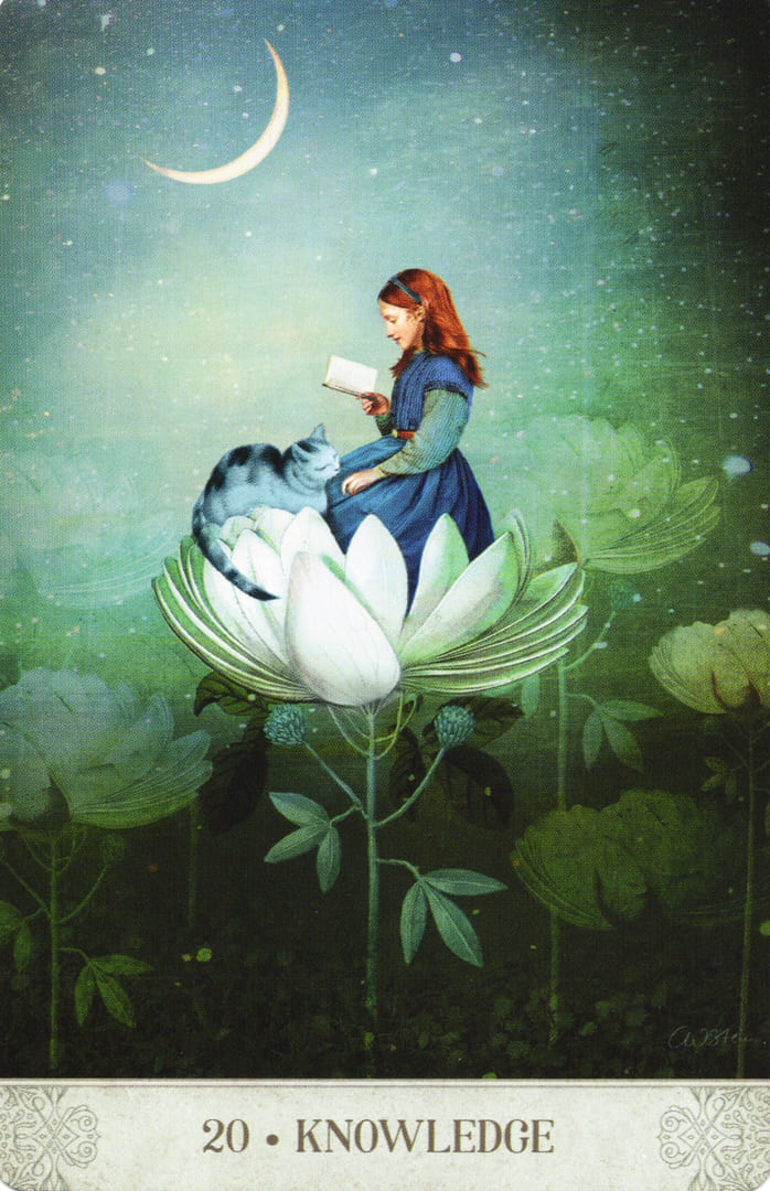 20. CONOCIMIENTO — Botanical Dreams Oracle
