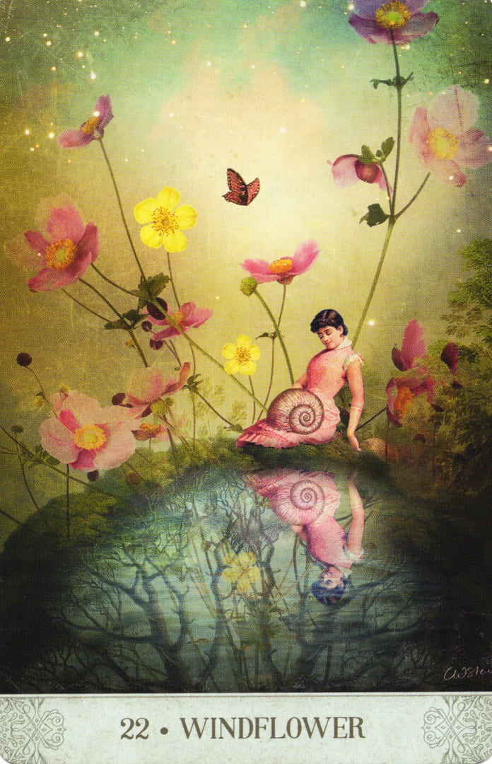 22. FLOR DEL VIENTO — Botanical Dreams Oracle