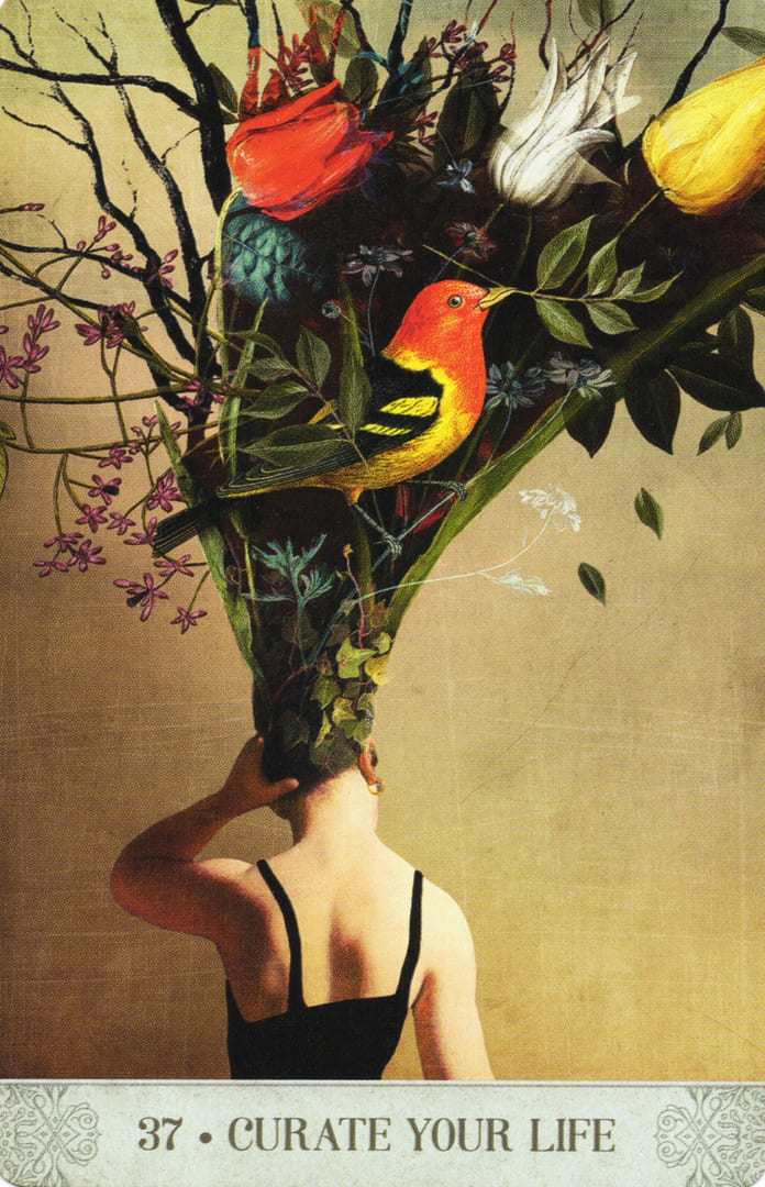 37. CURATE TU VIDA — Botanical Dreams Oracle