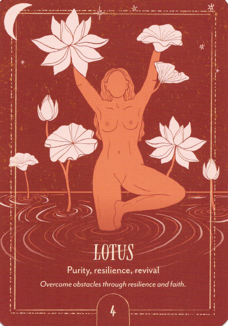 4. Lotus — Earth Song Oracle