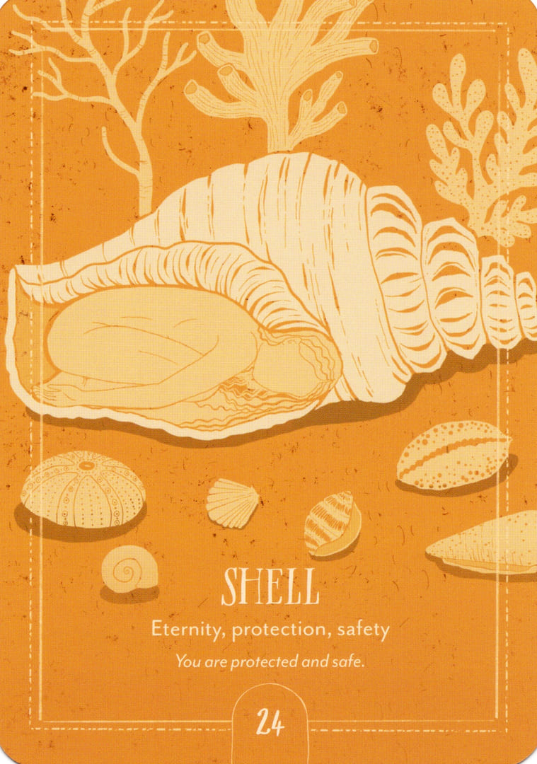 24. CONCHA — Earth Song Oracle