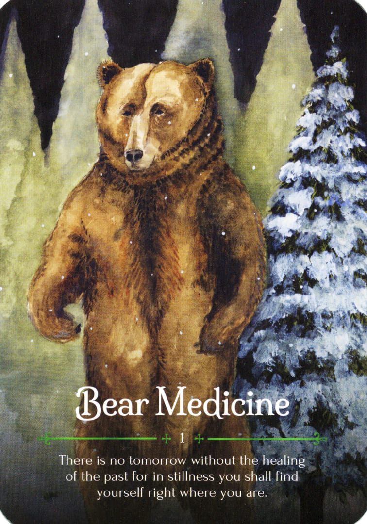 Bear Medicine — Seasons of the Witch – Yule Oracle