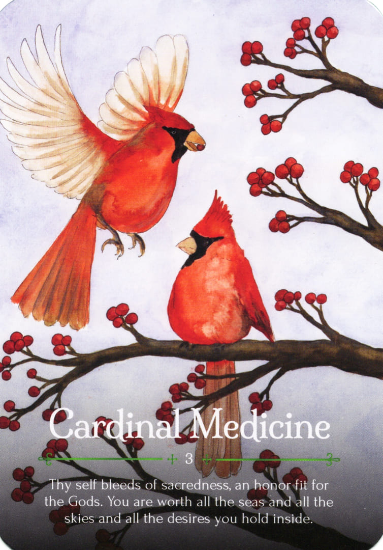 Cardinal Medicine — Seasons of the Witch – Yule Oracle