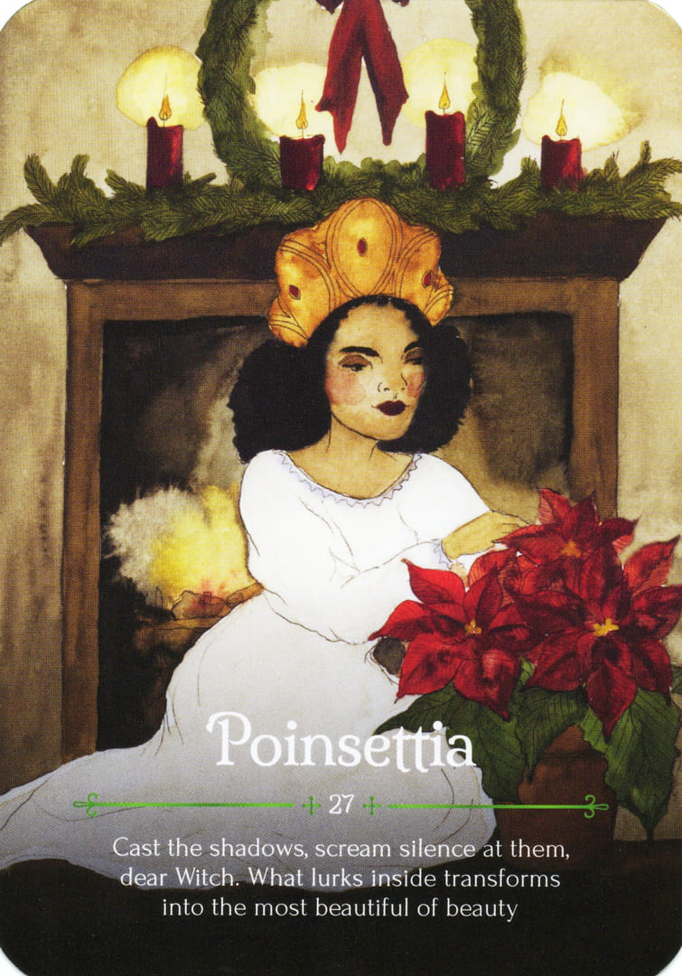 Poinsettia — Seasons of the Witch – Yule Oracle