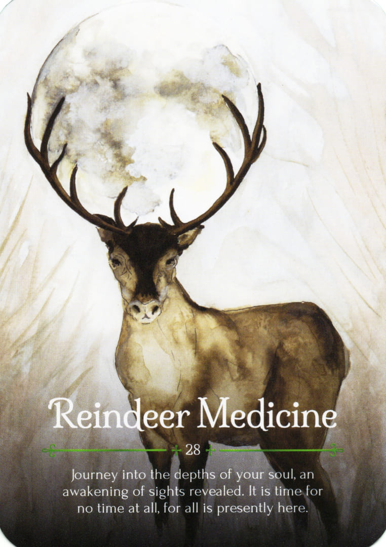 Reindeer Medicine — Seasons of the Witch – Yule Oracle