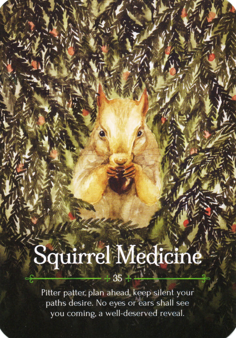 Squirrel Medicine — Seasons of the Witch – Yule Oracle