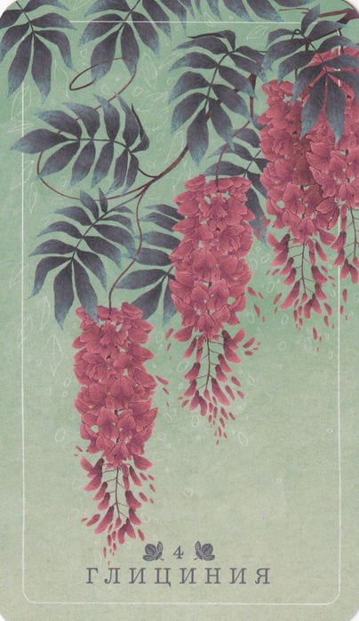 4 Wisteria — Seed and Sickle Oracle