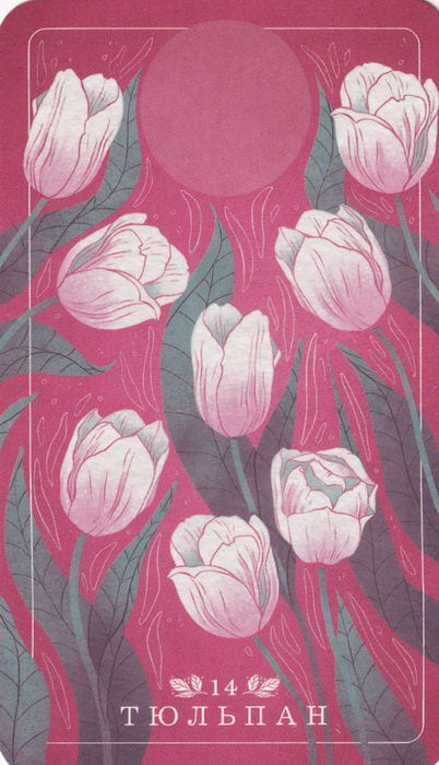 14 Tulip — Seed and Sickle Oracle