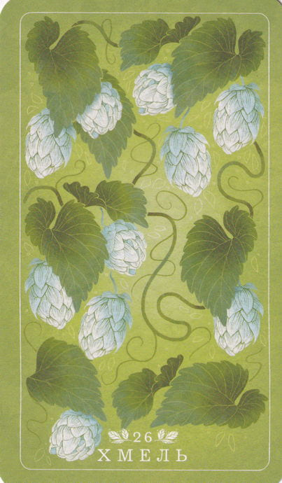 26 Hops — Seed and Sickle Oracle