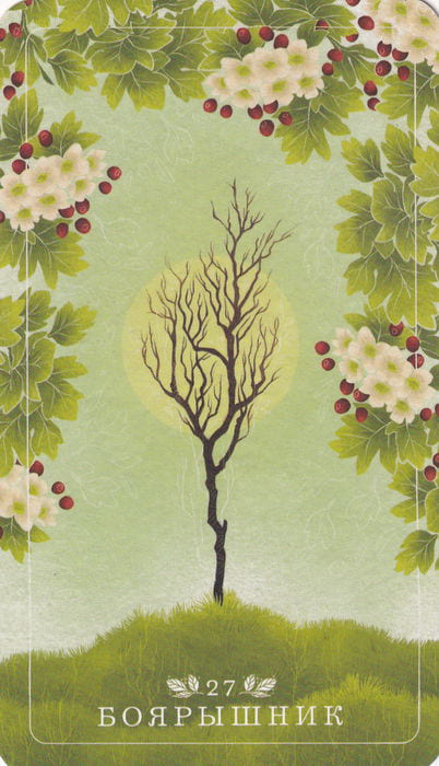 27 Hawthorn — Seed and Sickle Oracle