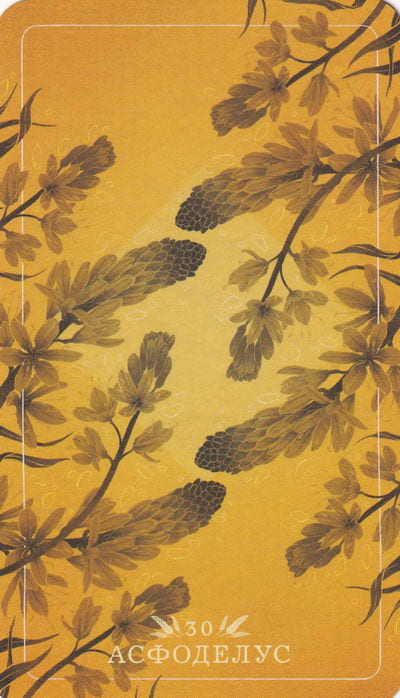 30 Asphodel — Seed and Sickle Oracle