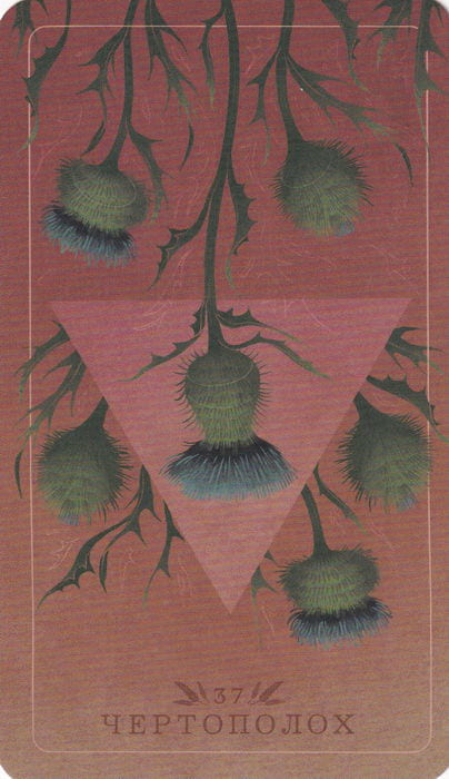 37 Thistle — Seed and Sickle Oracle