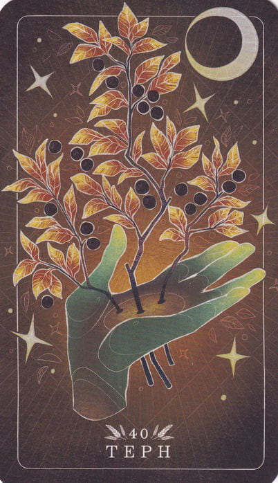 40 Blackthorn — Seed and Sickle Oracle