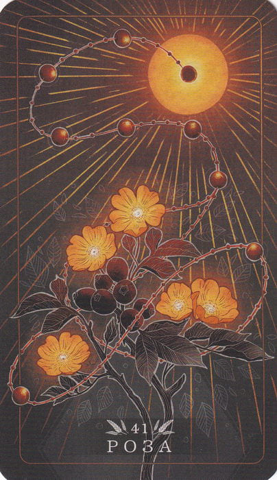 41 Rose — Seed and Sickle Oracle