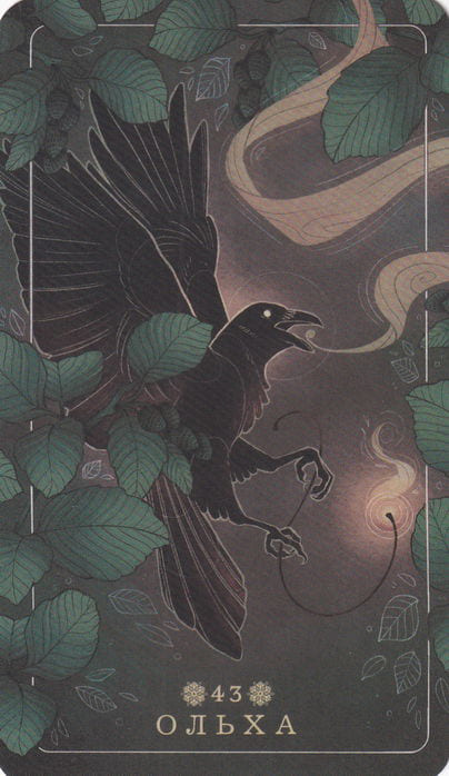 43 Alder — Seed and Sickle Oracle