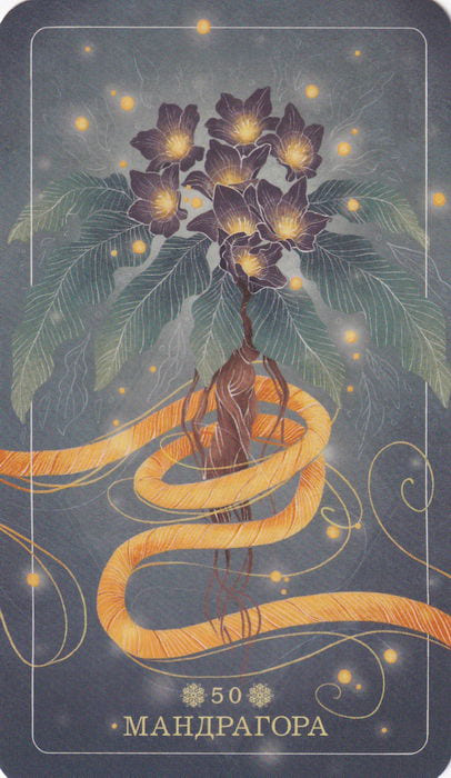 50 Mandrake — Seed and Sickle Oracle