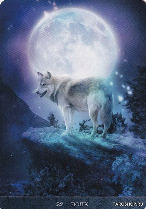 22 Wolf — De La Nuit Oracle