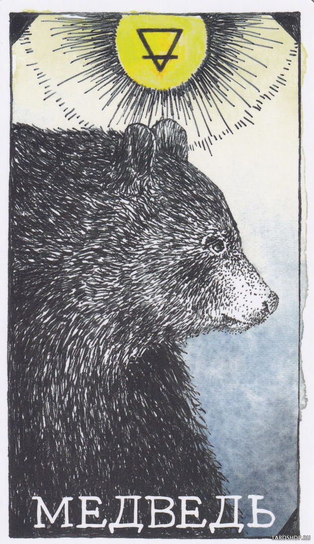 1 Bear (Earth) — Wild Unknown Animal Spirit Card Meanings