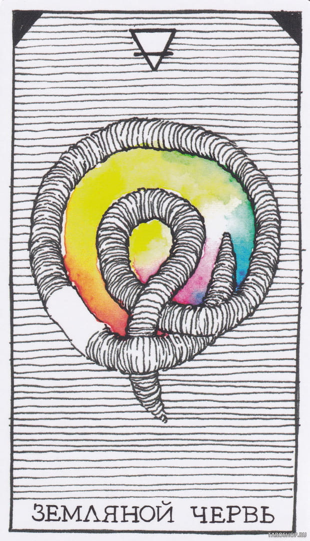 2 Earthworm (Rain Worm) — Wild Unknown Animal Spirit Card Meanings