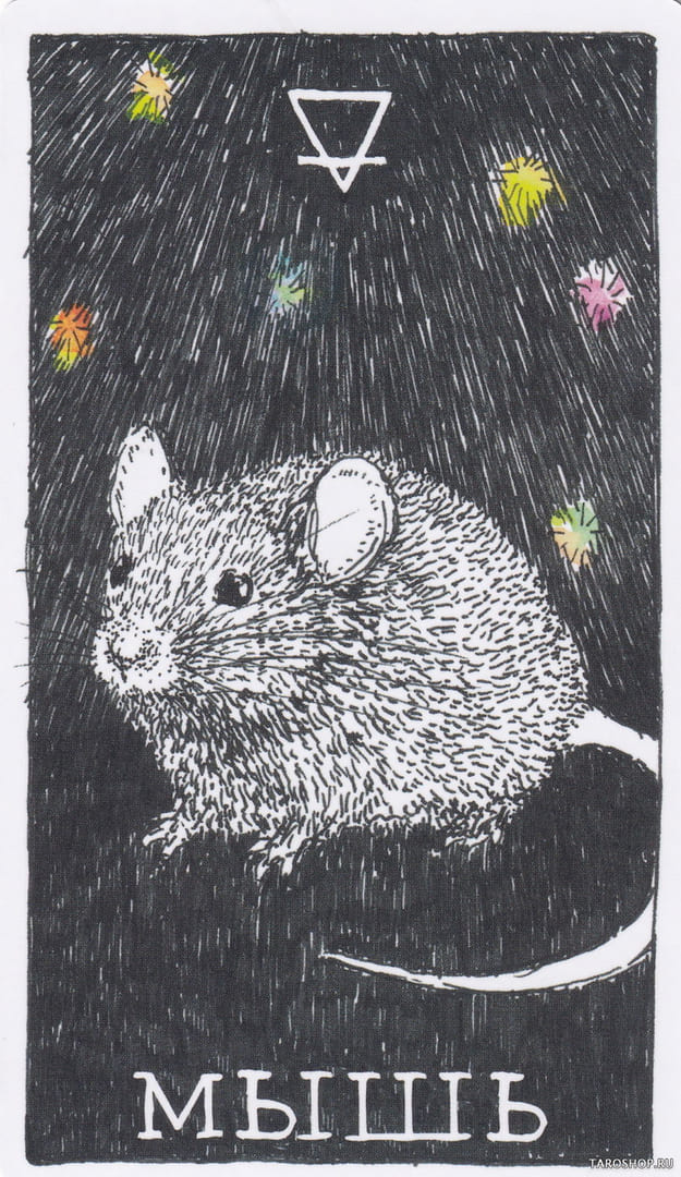 3 Ratón (Tierra) — The Wild Unknown Animal Spirit