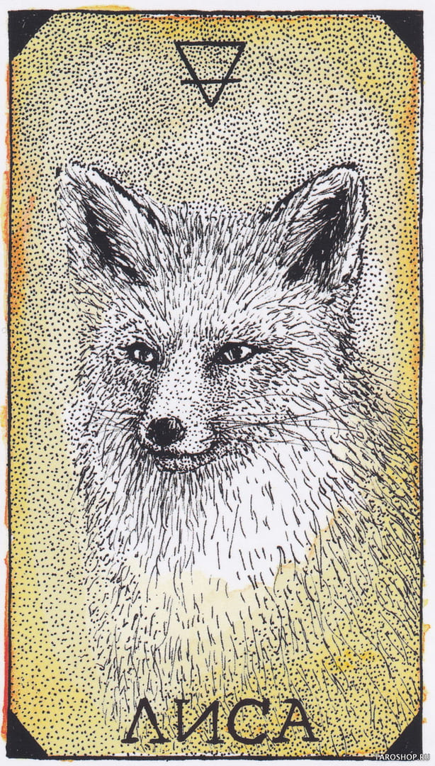 6 Fox (Earth) — Wild Unknown Animal Spirit Card Meanings