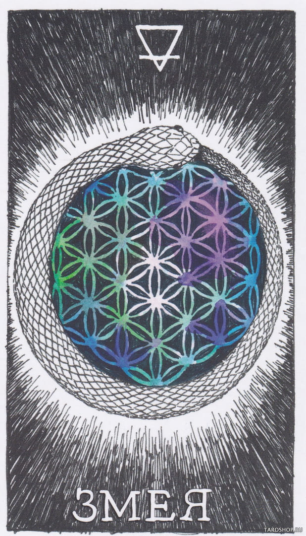 7 Snake (Earth) — Wild Unknown Animal Spirit Card Meanings