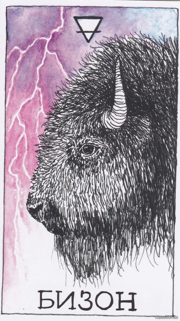 8 Buffalo (Earth) — Wild Unknown Animal Spirit Card Meanings