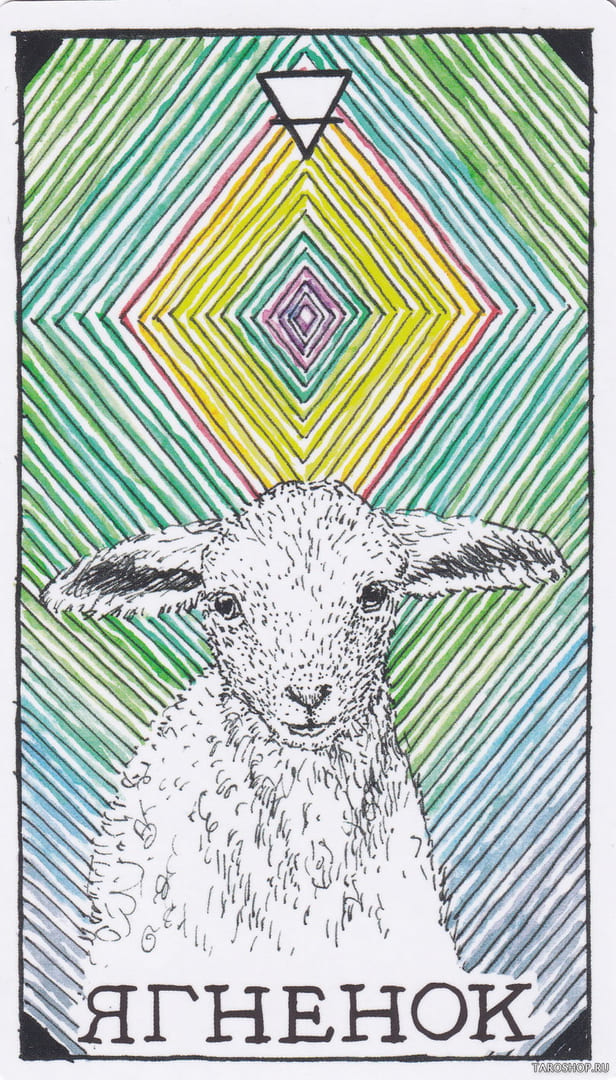 9 Lamb (Earth) — Wild Unknown Animal Spirit Card Meanings