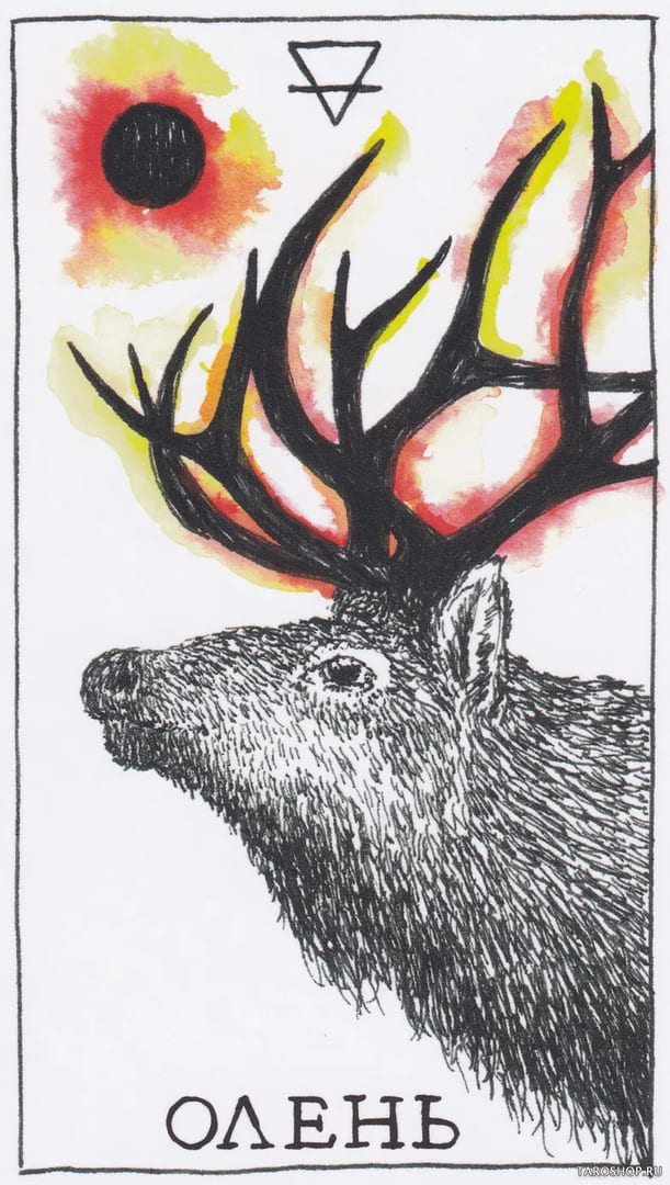 10 Deer (Earth) — Wild Unknown Animal Spirit Card Meanings