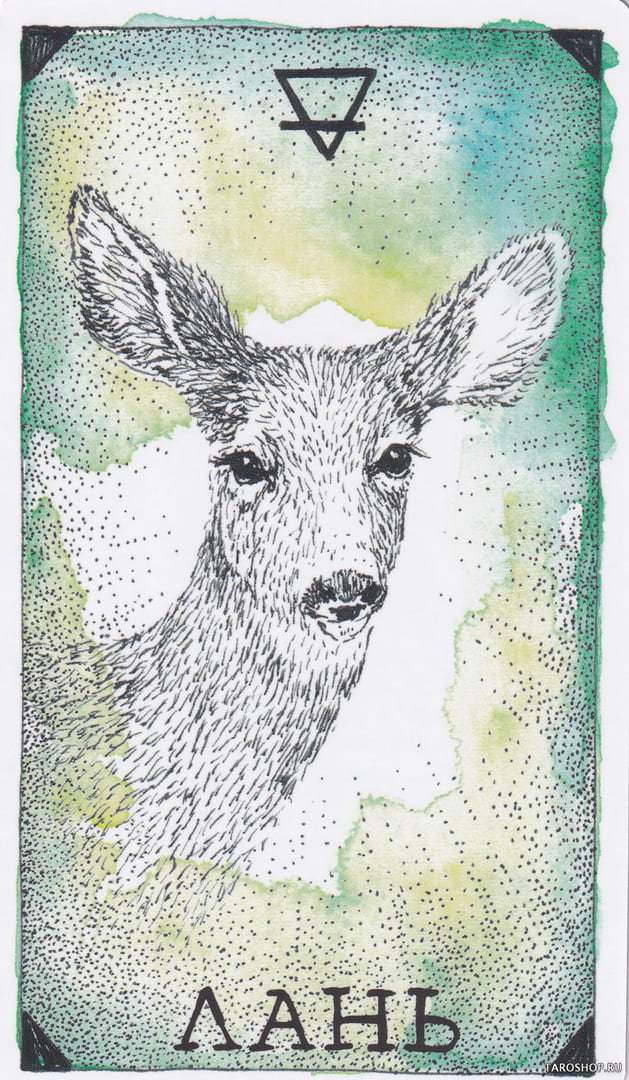 11 Cierva (Tierra) — The Wild Unknown Animal Spirit