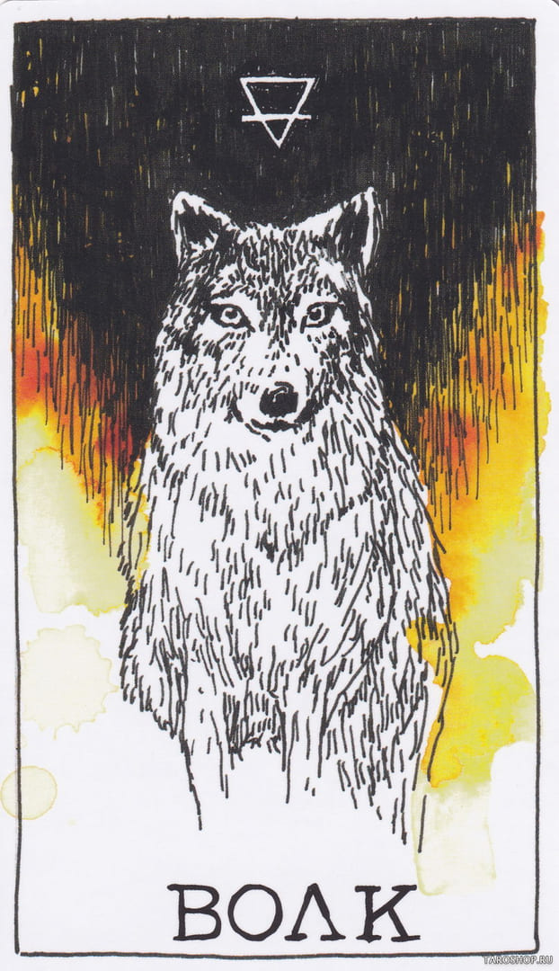 12 Lobo (Tierra) — The Wild Unknown Animal Spirit